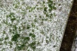積雪