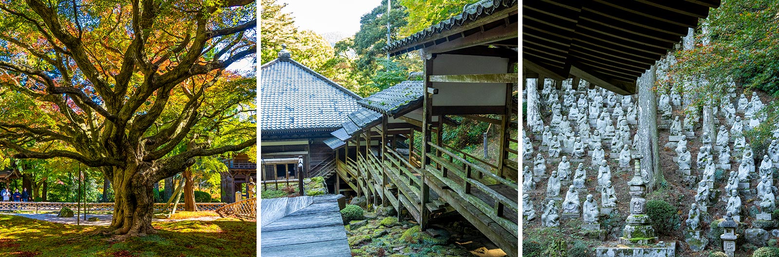 雷山千如寺大悲王院